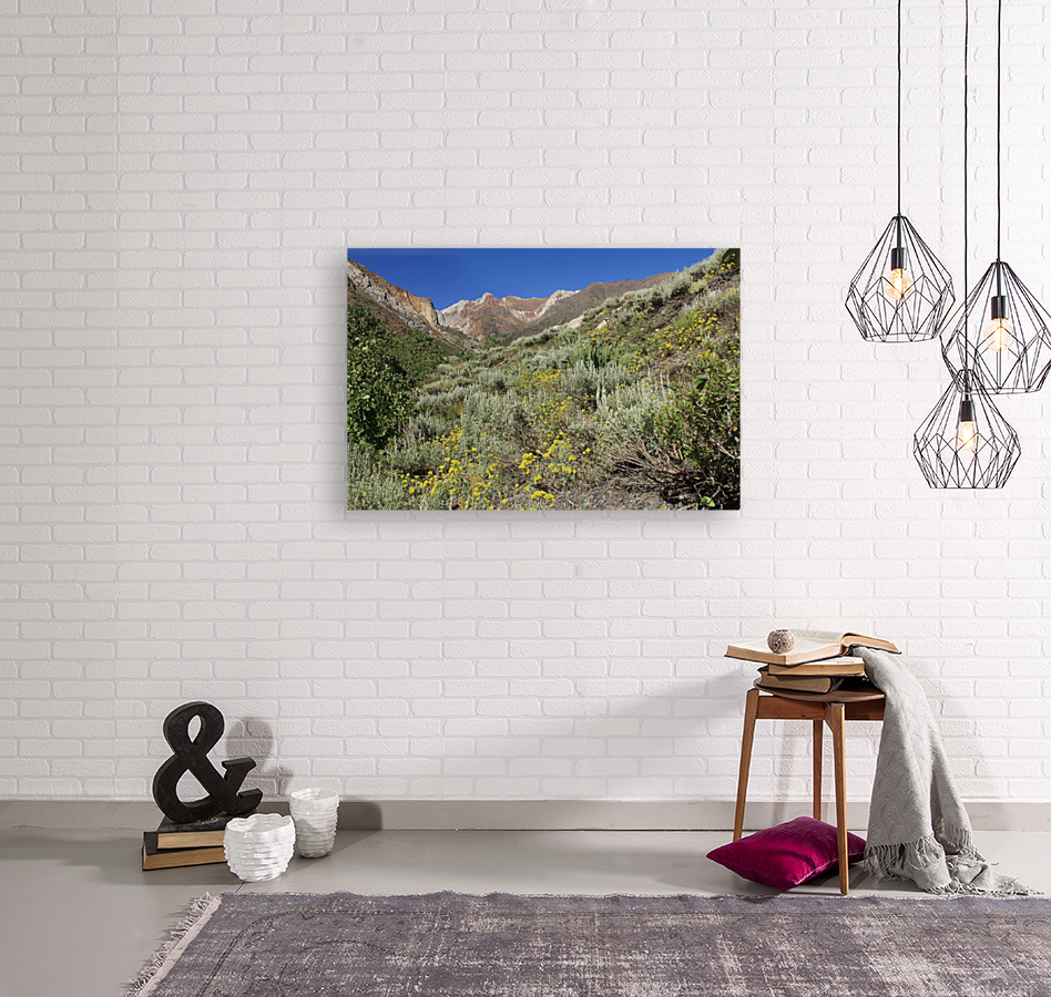 McGee Canyon Reproduction