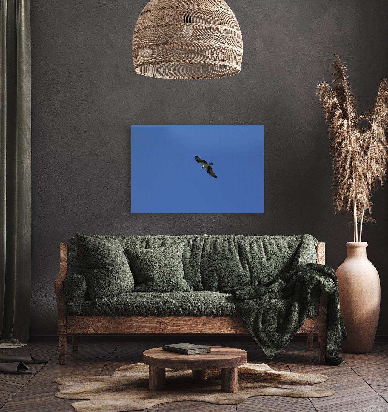 Osprey Reproduction