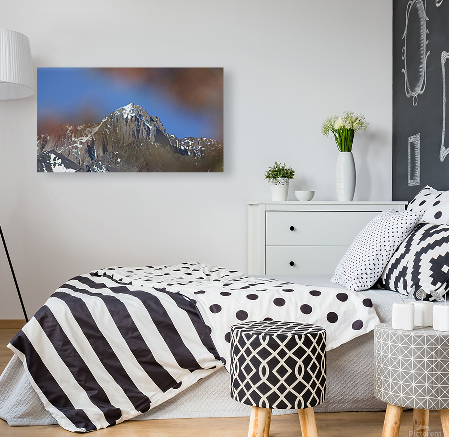Mount Morrison Reproduction
