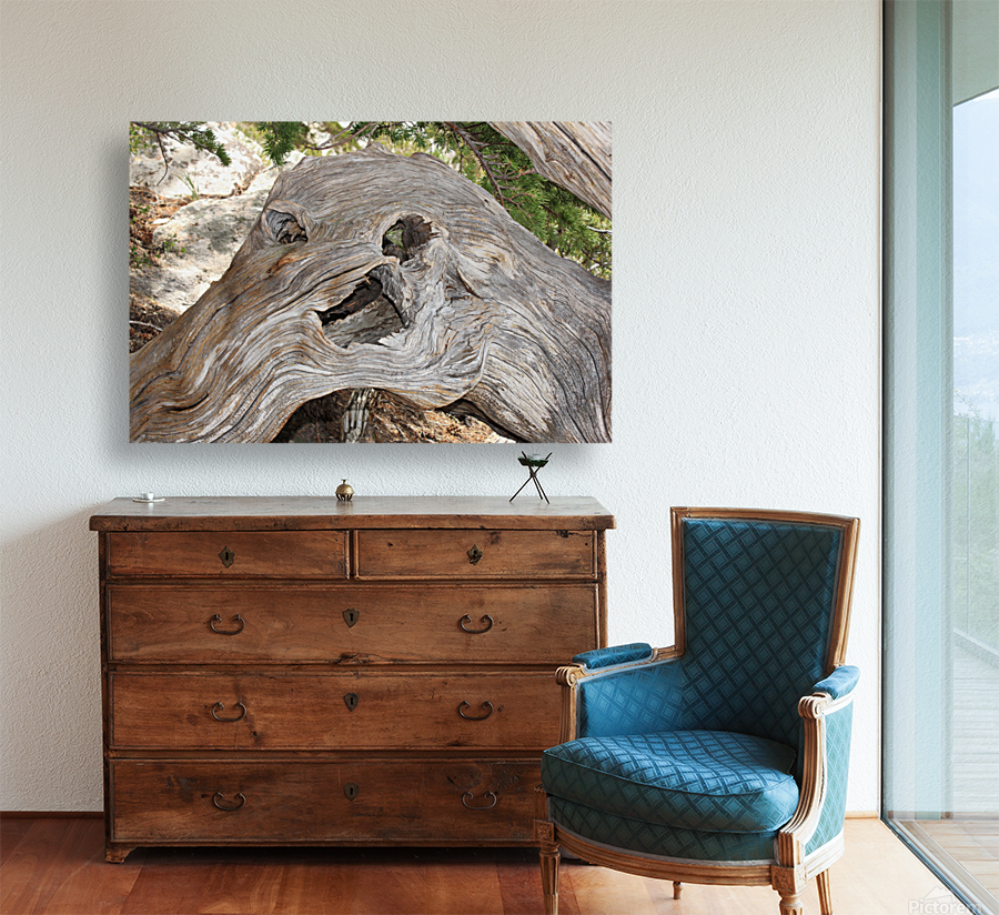 Dead Tree Monster Reproduction