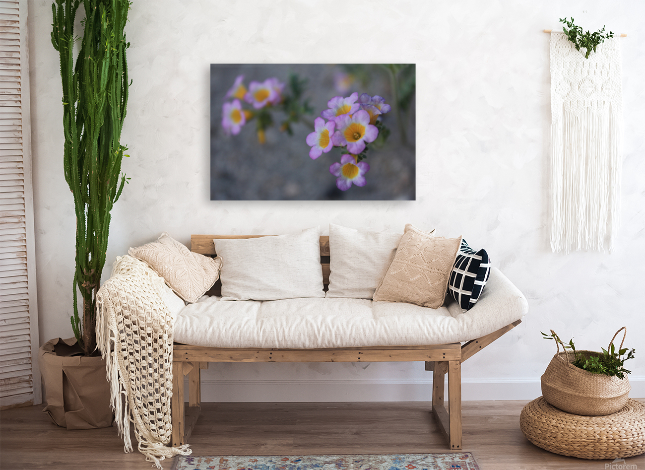 Desert flower Reproduction