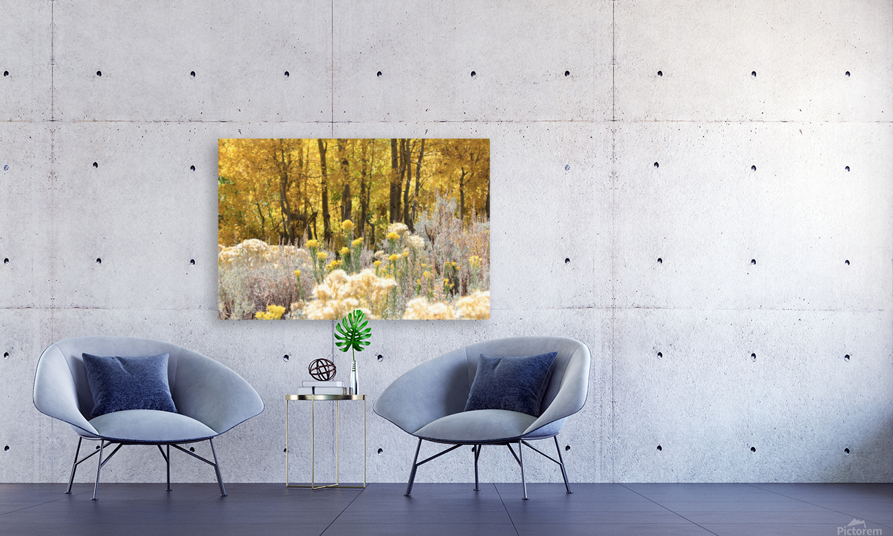 Fall Colors Reproduction