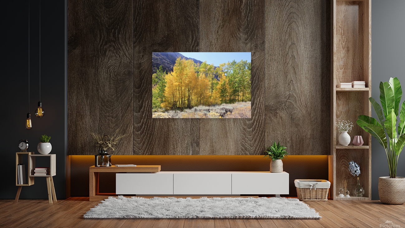Fall Color Reproduction