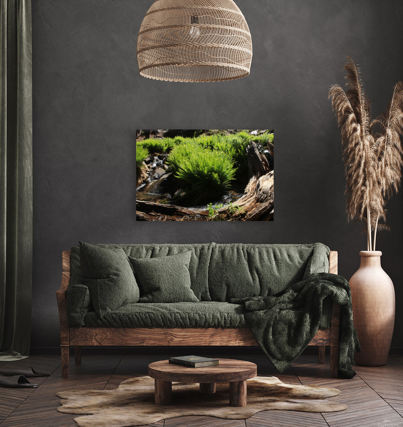 Ferns Log Creek Reproduction