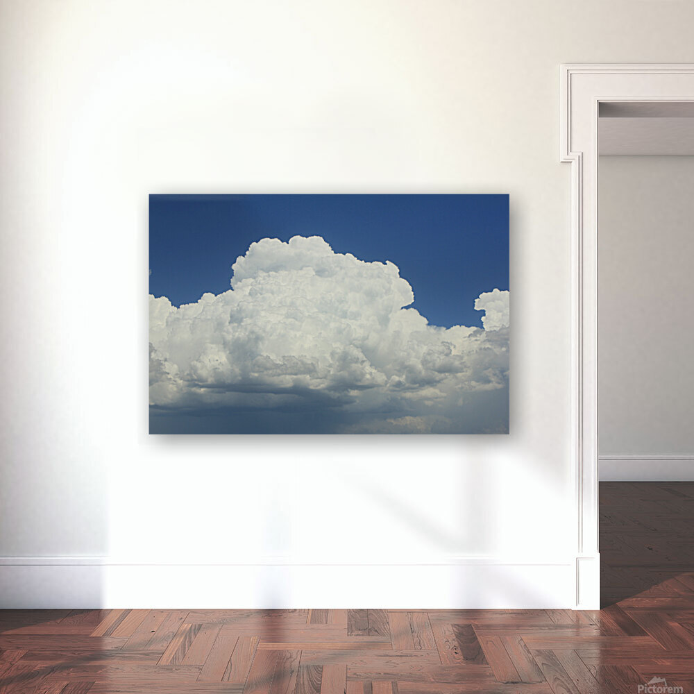 Cumulus Cloud Reproduction