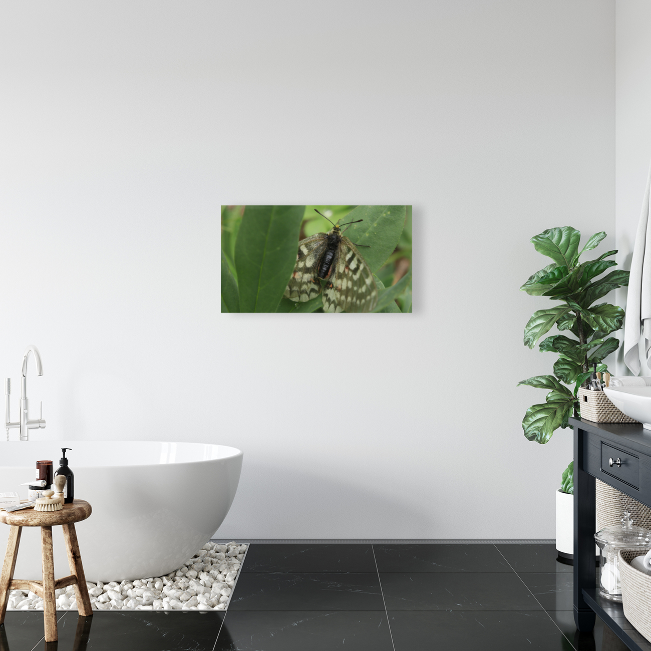 Wallpaper Photography Reproduction