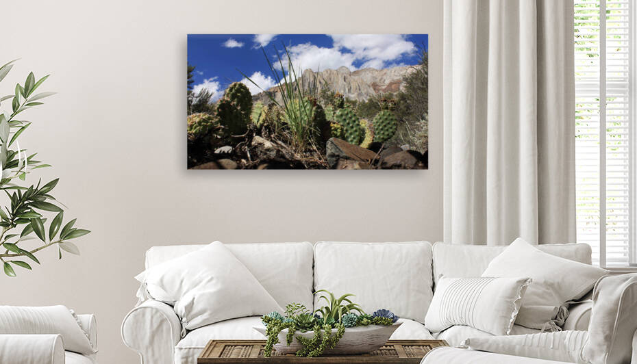 Cactus Laurel Mtn. Reproduction