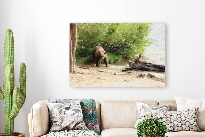 bear Reproduction