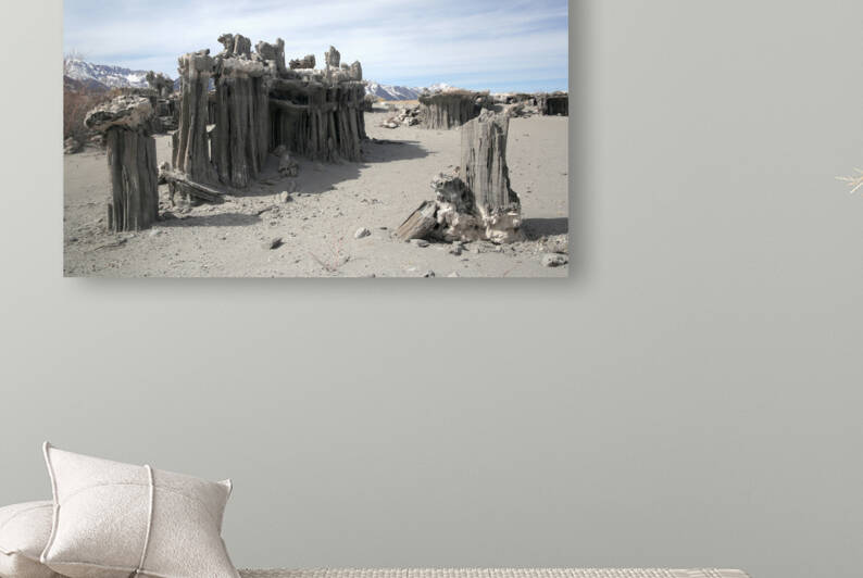 SandTufa Reproduction