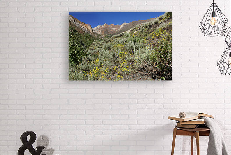 McGee Canyon Reproduction