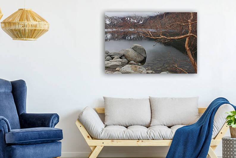 Convict Lake Reflection Silver Birch by Dan McConnell