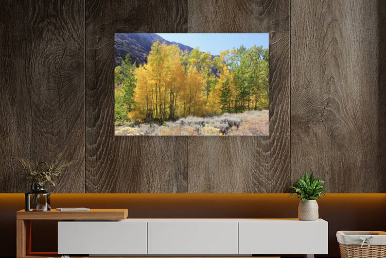 Fall Color by Dan McConnell