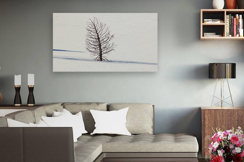 Ghost Tree Snow by Dan McConnell
