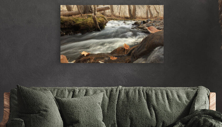 McGee Creek Flowing Fall Color by Dan McConnell