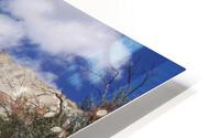 Cactus Laurel Mountain HD Metal print