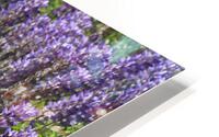 Lupin HD Metal print