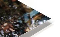 Bubble  HD Metal print