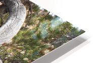 Tree Root HD Metal print