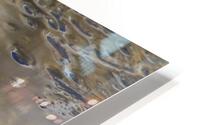 ice water abstract HD Metal print