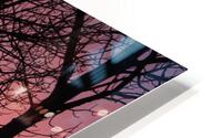 Tree Silhouette Sunset HD Metal print