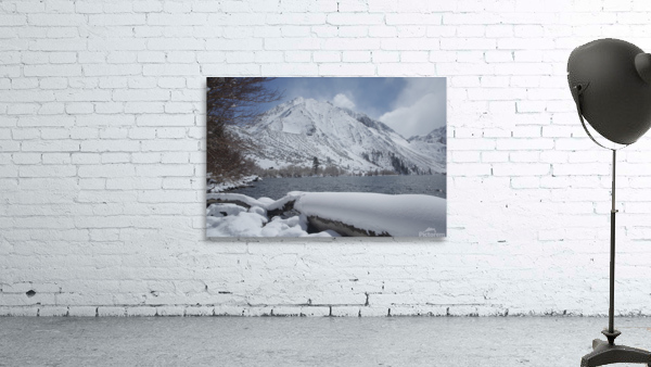 ConvictLkwinter Wall Preview