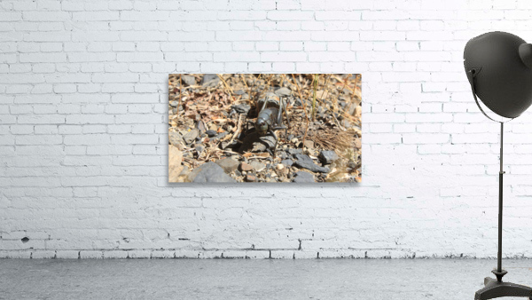 bug2 Wall Preview