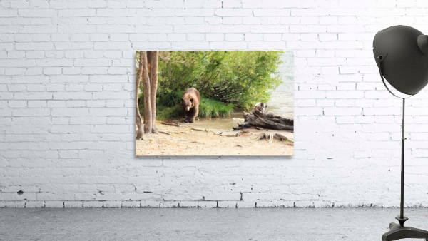 bear grass lake Wall Preview