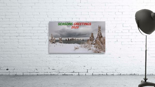 MonoLakeWinterStormcrop Wall Preview
