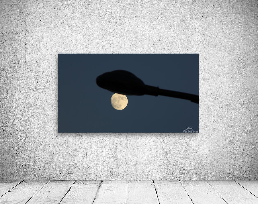 Moonlight Wall Preview