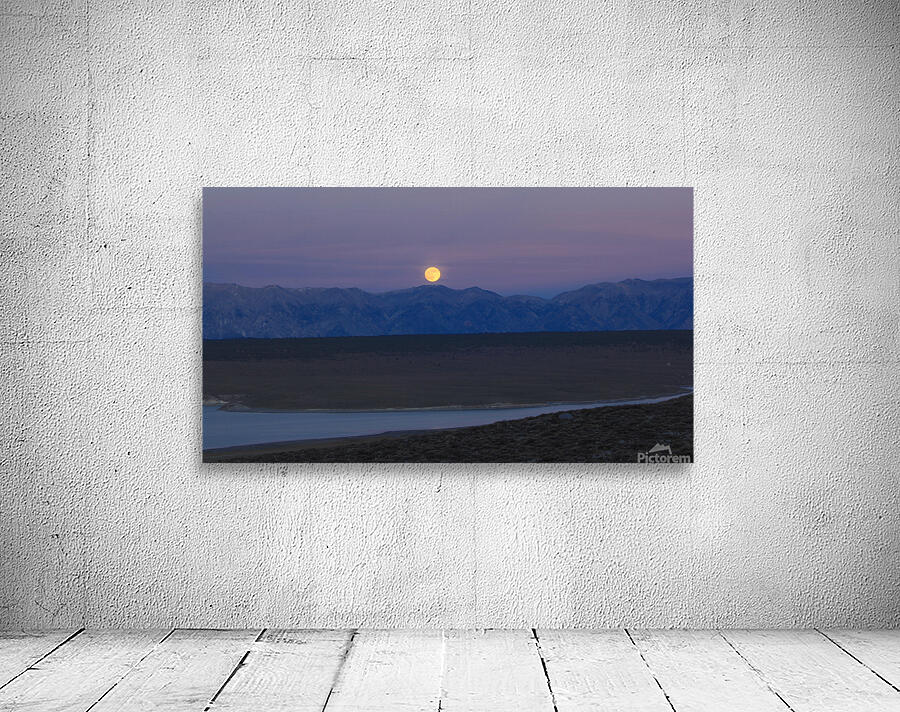 moonfullcrowley Wall Preview
