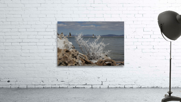 MonoLakeWhiteBrush Wall Preview