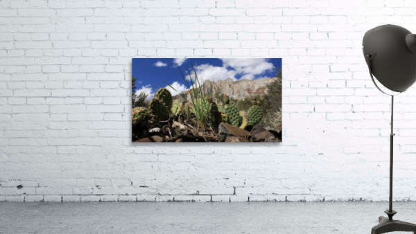Cactus Laurel Mountain Wall Preview