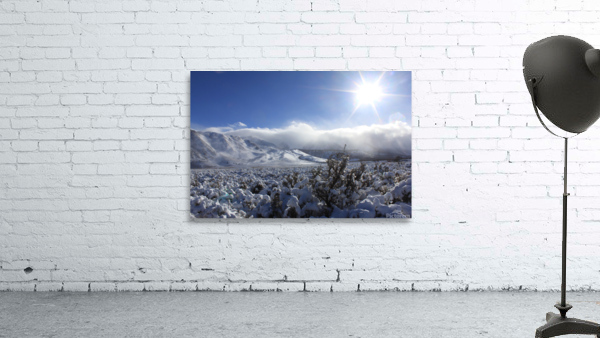 snowsunsage Wall Preview