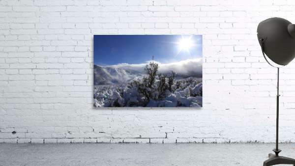 sagesnow Wall Preview