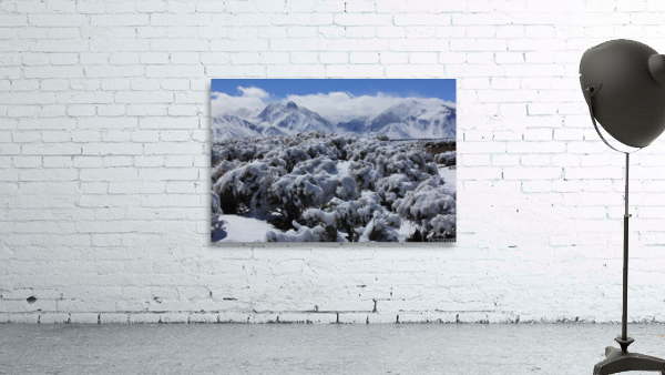 sagesnowmorrison Wall Preview
