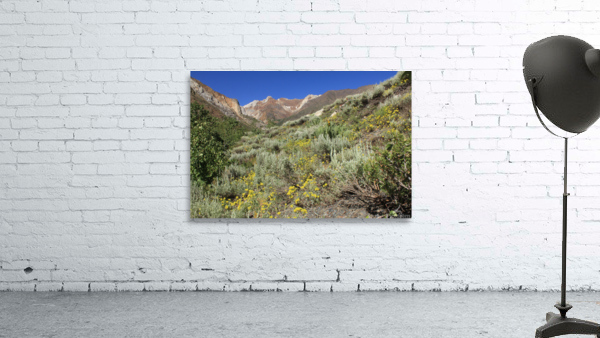 McGee Canyon Wall Preview