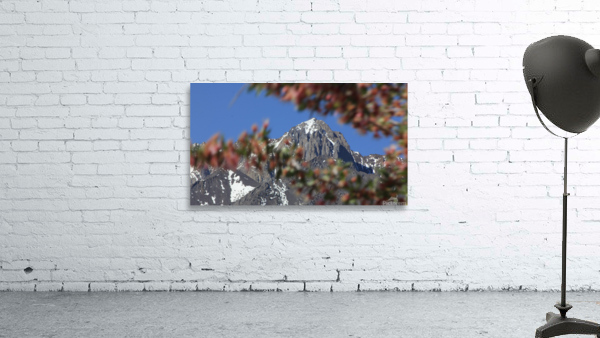 Mt. Morrison  Wall Preview