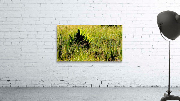 Dew Drop n Wall Preview