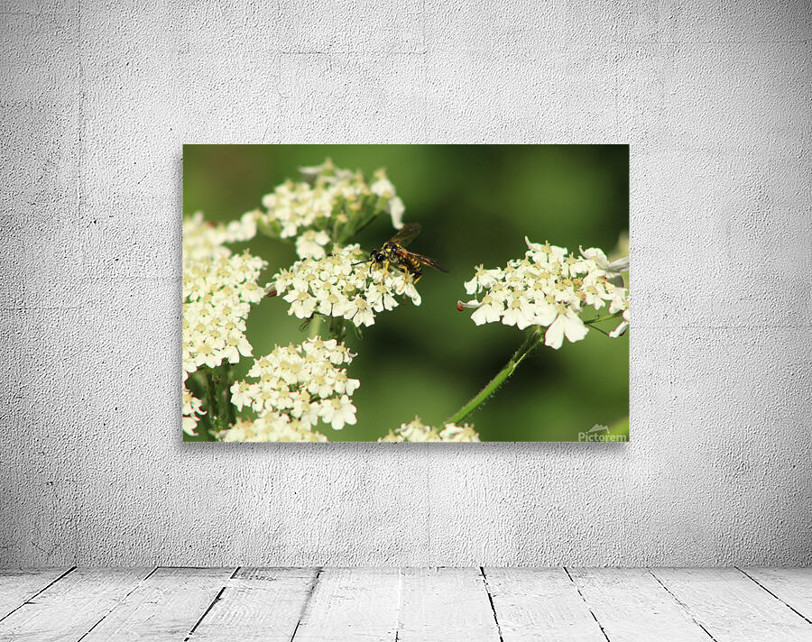 BeeWhiteFlower Wall Preview