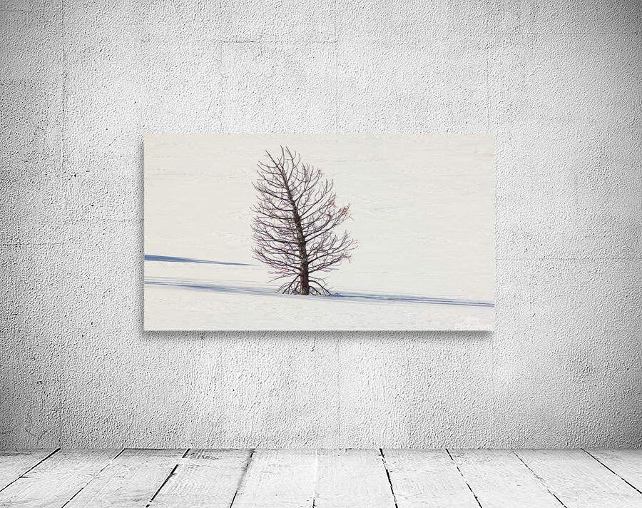 Ghost Tree Snow Wall Preview