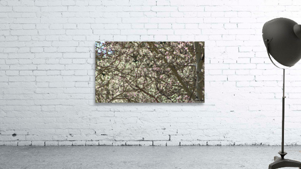 Aspen Trees Glowing Wall Preview