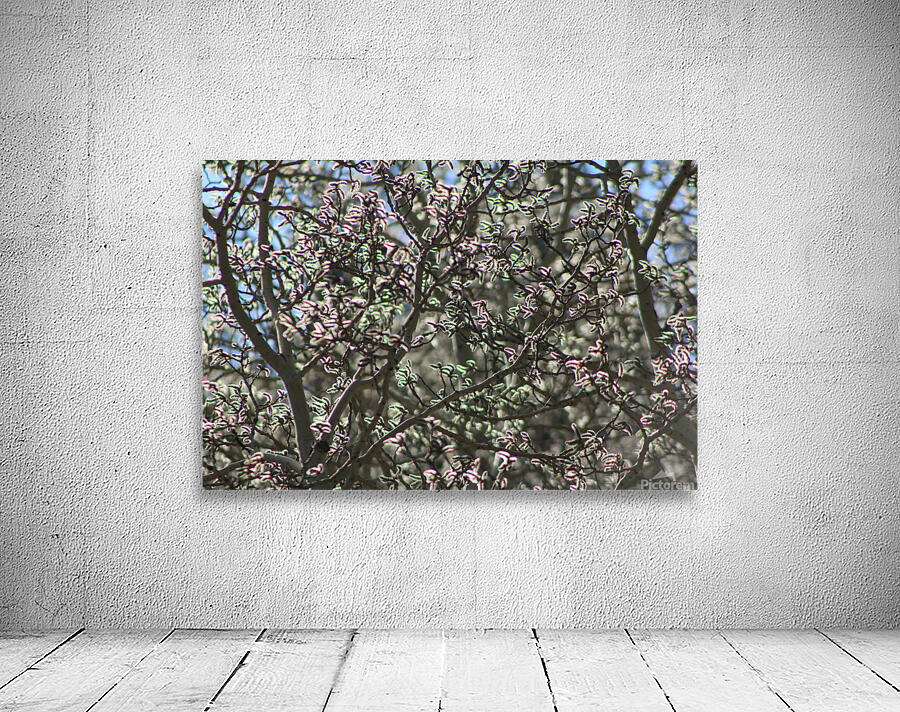 Aspen Trees Glowing Wall Preview