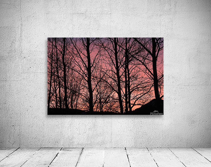 Tree Silhouette Sunset Wall Preview