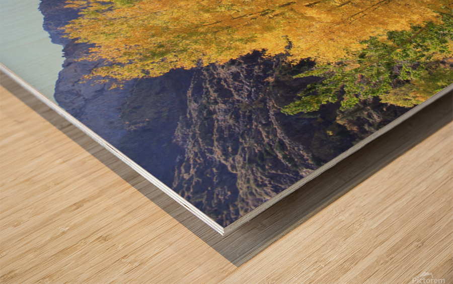 Fall Color Wood print