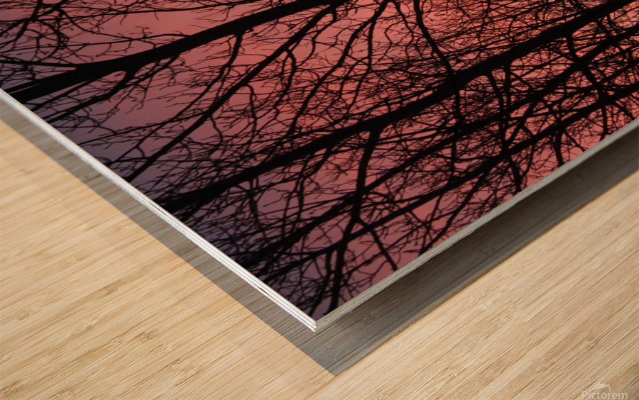 Tree Silhouette Sunset Wood print