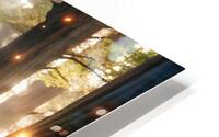 Enchanted Forest HD Metal print