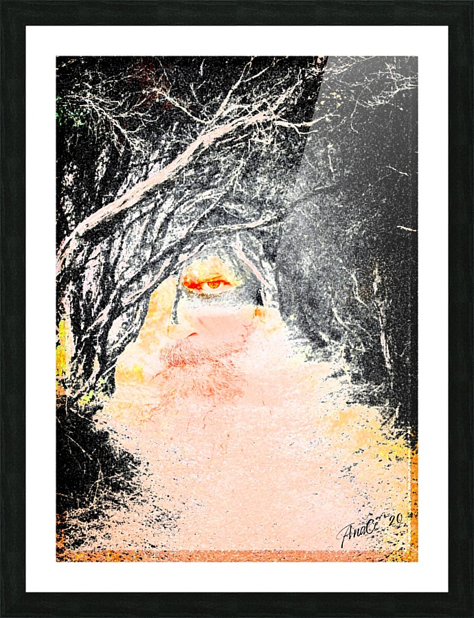 the Watcher Picture Frame print