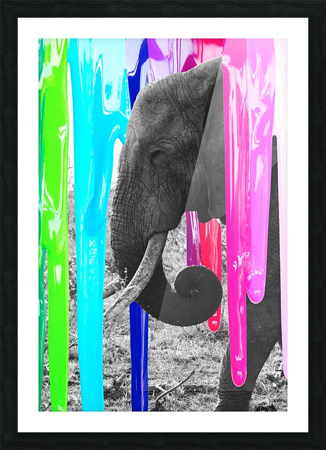 Brushed Elephant Picture Frame print