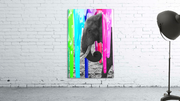 Brushed Elephant Wall Preview