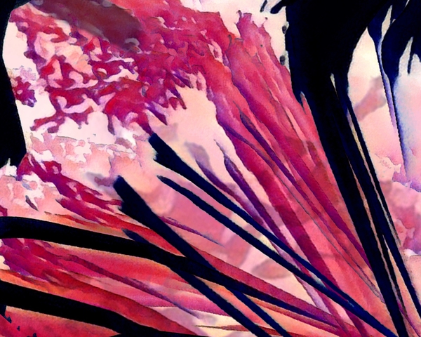 Red Reeds Digital Download
